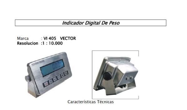 INDICADOR VI 405 VECTOR